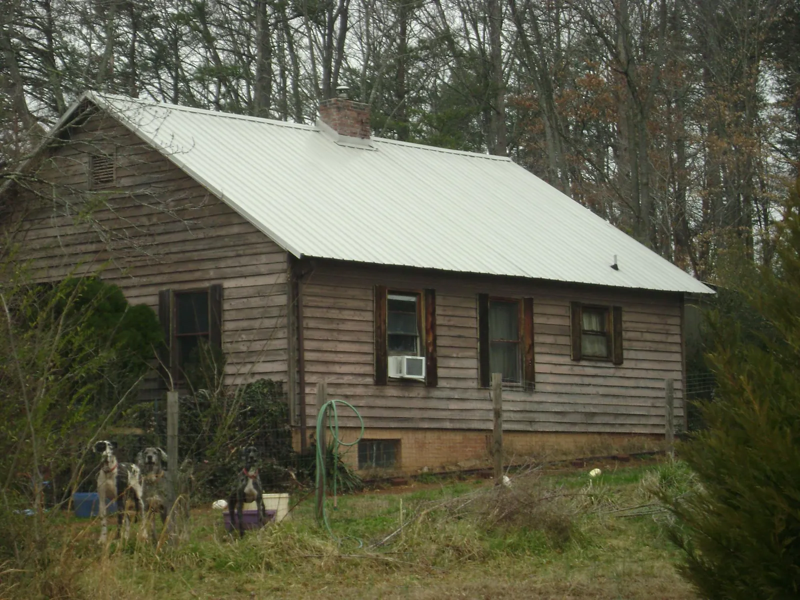 White metal roof on an old wood sided farmhouse, from a Asphalt Shingle Roof Repair job in Forest Lakes